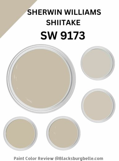 Sherwin Williams Shiitake (Palette, Coordinating & Inspirations)