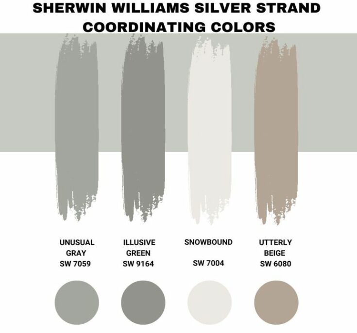 Sherwin Williams Silver Strand (Palette, Coordinating & Inspirations)
