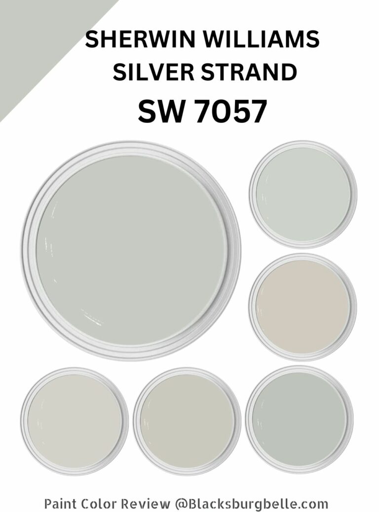 Sherwin Williams Silver Strand (Palette, Coordinating & Inspirations)