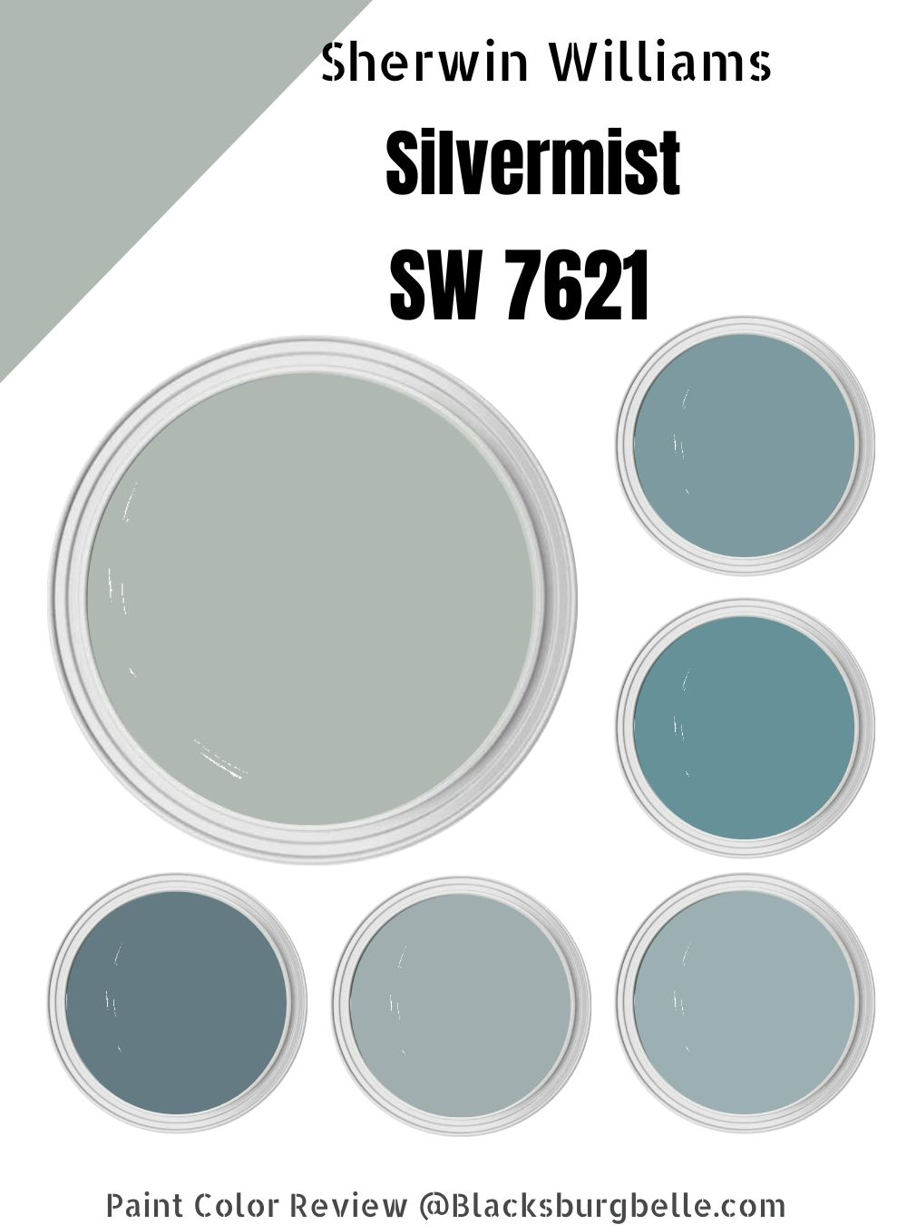 Sherwin Williams Silvermist (Palette, Coordinating & Inspirations)