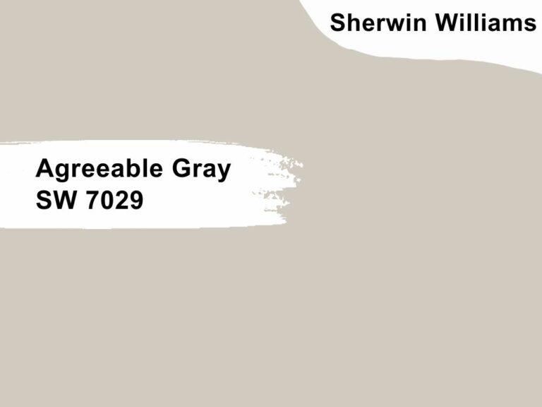 Agreeable Gray SW 7029 4 768x576 