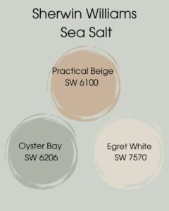 Sherwin Williams Rainwashed vs Sea Salt: How to Choose?